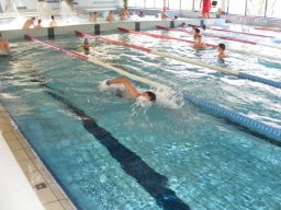 Zawody Pływackie w Kudowie Zdroju 24 listopad 2017r.